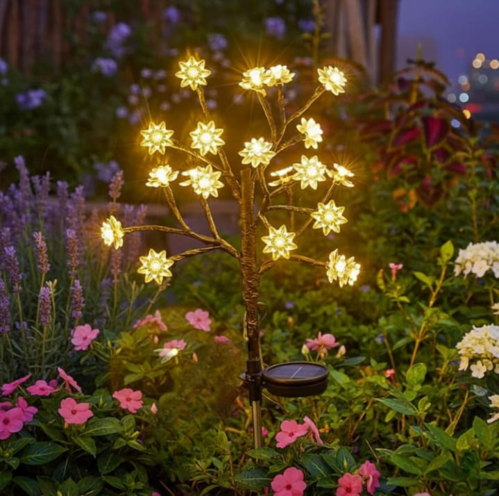 Solar Light