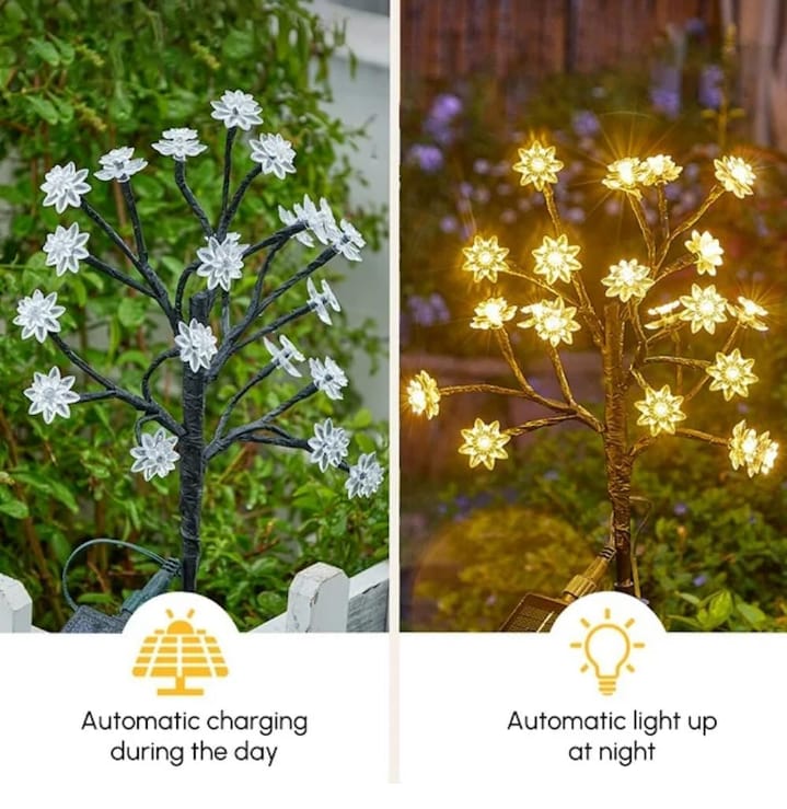 Solar Light