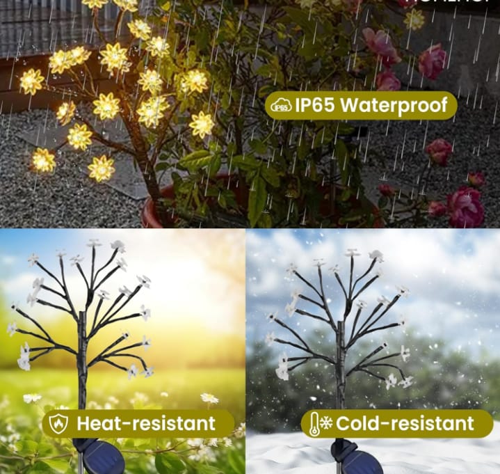 Solar Light